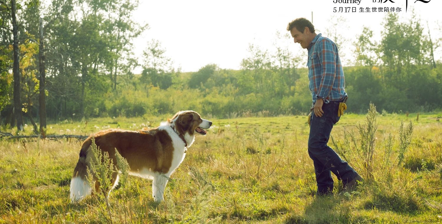 Подорож хорошого пса 2019