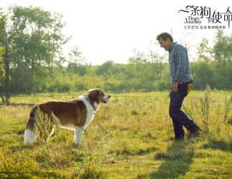 Подорож хорошого пса 2019