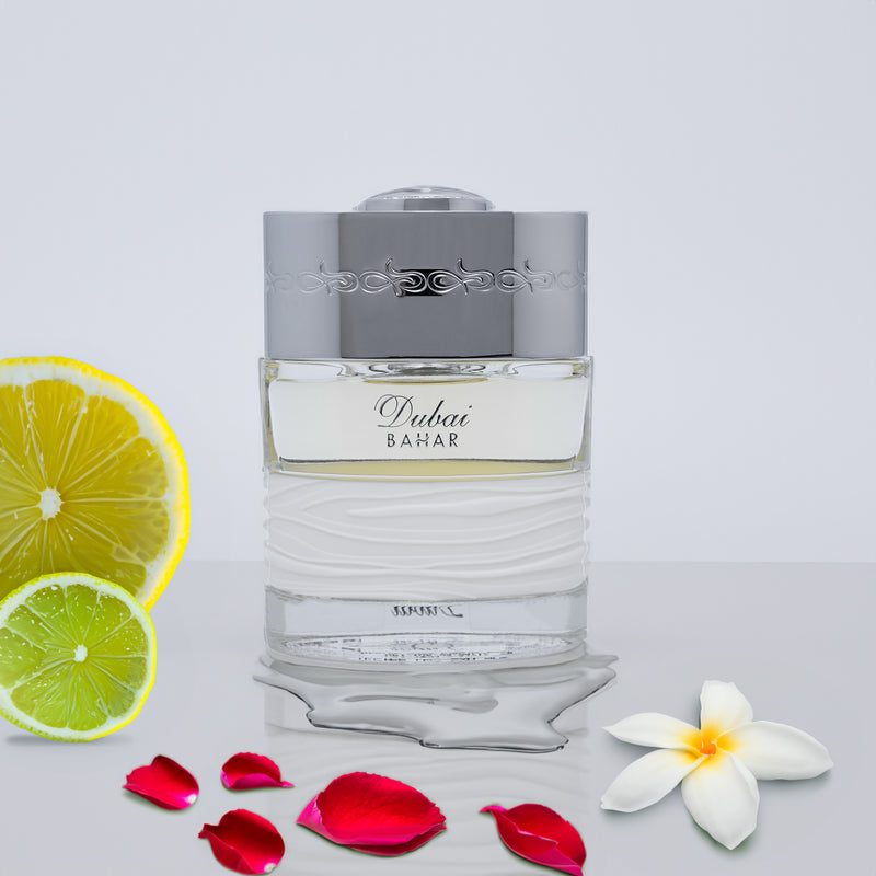 Bild 2 dc2abd11 529f 4e5c a919 d501c77203d0 800x