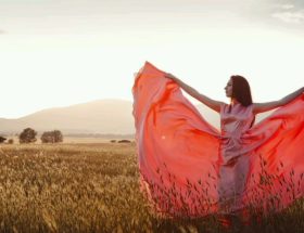 тата Ой, у вишневому саду 