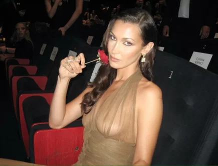 Белла Хадід виклала провокативні фото в напівпрозорій кофтинці в Instagram 7 Белла Хадід топлес голі груди.jpg