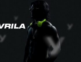 DJ GOVRILA