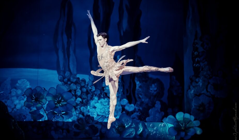 mykyta suhorukov v baleti nochi v sadah ispaniyi