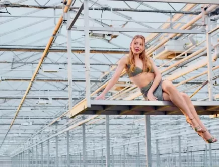 Прем’єра тижня: «Балкони» Тіни Кароль з трояндами та спогадами про сало 9 тіна кароль балкони