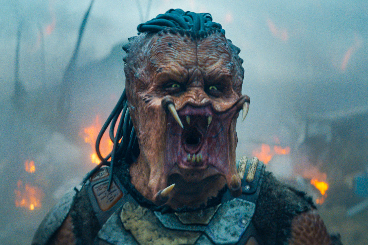 Хижак Дикі Землі